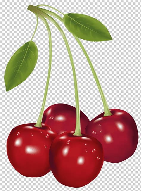 3 cherries